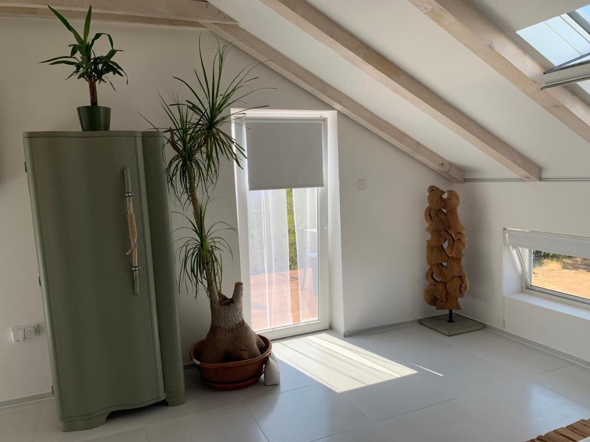 Apartment Pampas Sveti Filip i Jakov Εξωτερικό φωτογραφία
