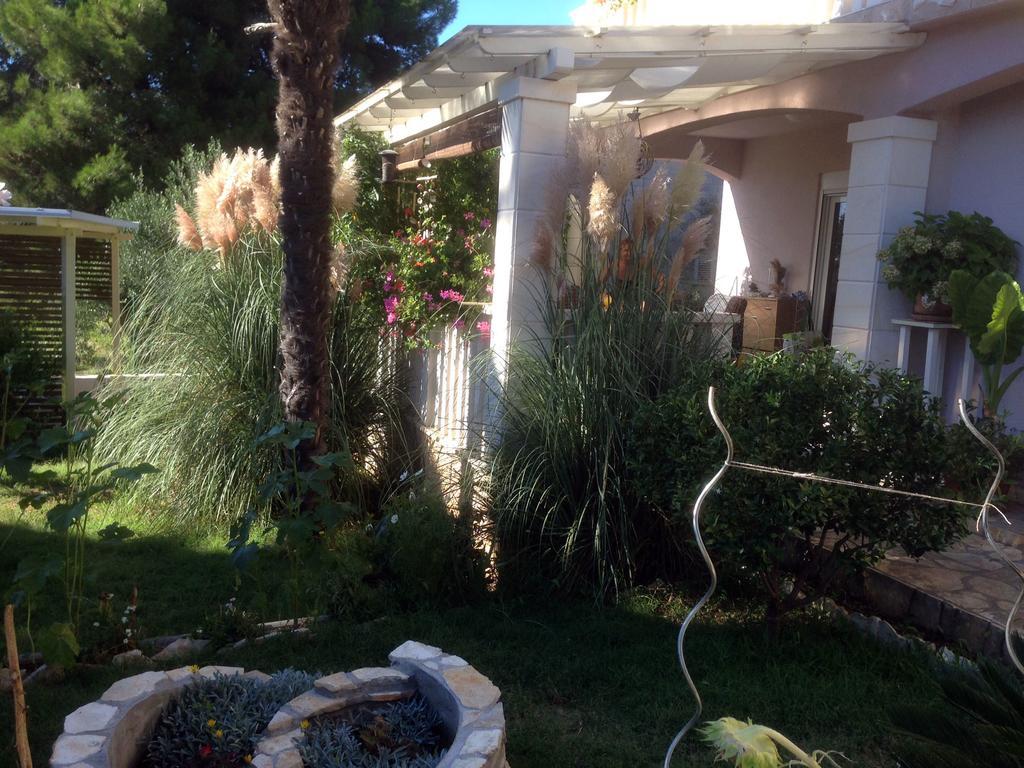 Apartment Pampas Sveti Filip i Jakov Δωμάτιο φωτογραφία